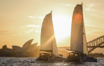 sydney regatta image