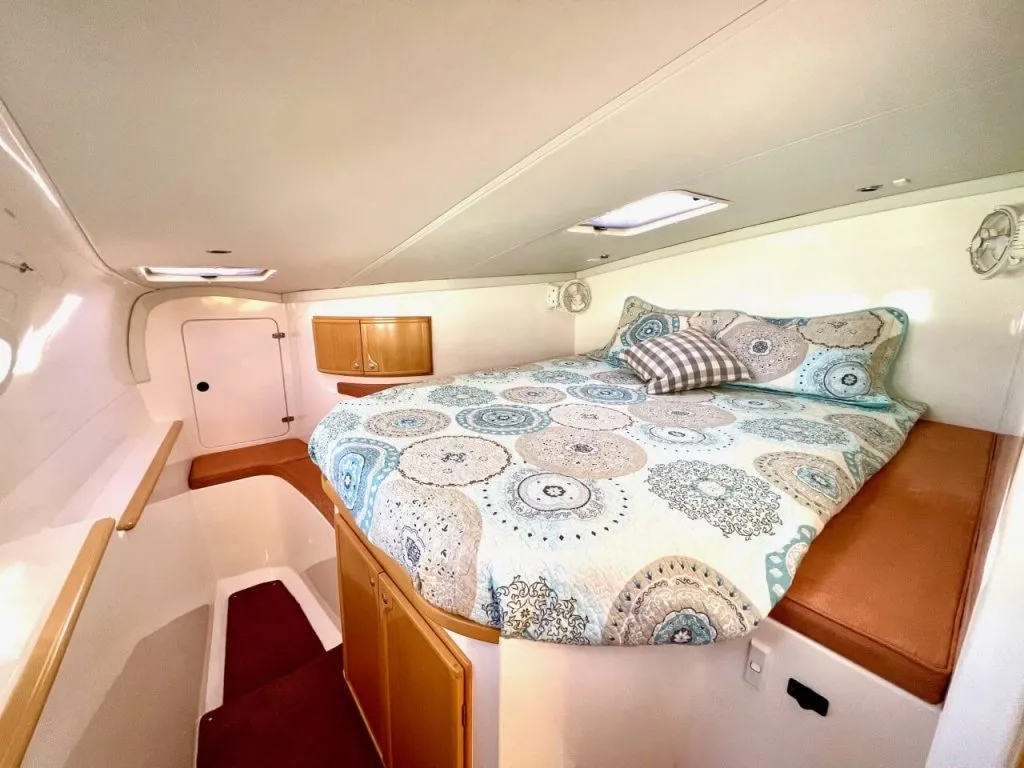 Two Dogs master Cabin